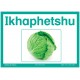 Isixhosa 