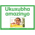 Isizulu Flash Cards