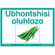 Isizulu