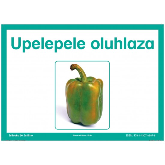 Isizulu