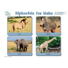 Sesotho Rise & Shine Charts