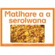 Setswana Setswana
