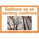 Setswana Setswana