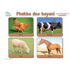 Tshivenda Rise & Shine Charts